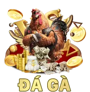 Đội ngũ hỗ trợ khách hàng